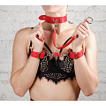 Ошейник "BDSM Новичок" с поводком, красный 3358-2 Ошейник "BDSM Новичок" с поводком, красный 3358-2